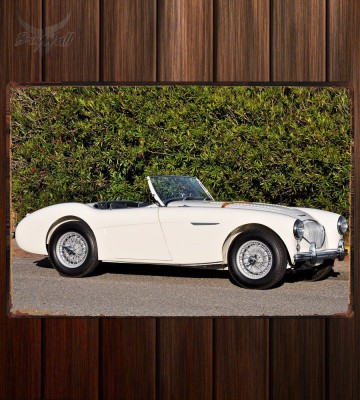 Металлическая табличка Austin Healey 100M Le Mans Roadster